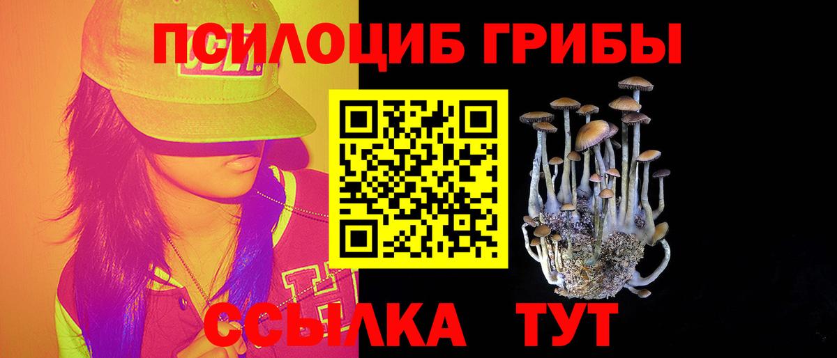 наркотики  Вход с VPN  Каменск-Уральский  Псилоцибиновые грибы мицелий  Псилоцибиновые грибы ЛСД 